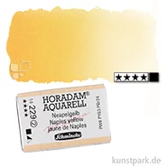 Artikelbild des Artikels “Schmincke HORADAM Aquarellfarben 1/1 Napf | 229 Neapelgelb“