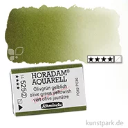 Artikelbild des Artikels “Schmincke HORADAM Aquarellfarben 1/1 Napf | 525 Olivgrün gelblich“