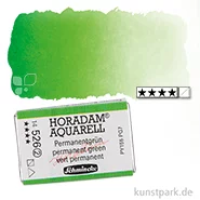 Artikelbild des Artikels “Schmincke HORADAM Aquarellfarben 1/1 Napf | 526 Permanentgrün“