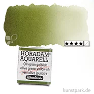 Artikelbild des Artikels “Schmincke HORADAM Aquarellfarben 1/2 Napf | 525 Olivgrün gelblich“