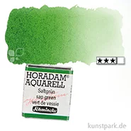 Artikelbild des Artikels “Schmincke HORADAM Aquarellfarben 1/2 Napf | 530 Saftgrün“