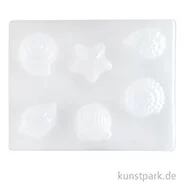 Artikelbild des Artikels “Seifenform - Muscheln mit 6 Formen “