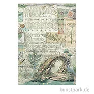 Artikelbild des Artikels “Stamperia Reispapier - Herbarium Silvae Bridge, DIN A4 “