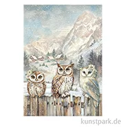 Artikelbild des Artikels “Stamperia Reispapier - The Owl's House 3 Owls, DIN A4 “