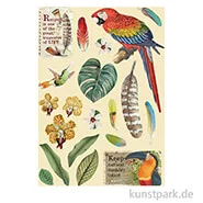 Artikelbild des Artikels “Stamperia Wooden Shapes - Amazonia Parrot, DIN A5 “