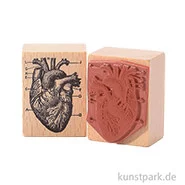 Artikelbild des Artikels “Stempel - Herz anatomisch, 3 x 4 cm “