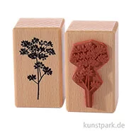Artikelbild des Artikels “Stempel - Wiesenkerbel, 3 x 5 cm “