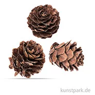 Artikelbild des Artikels “Tannezapfen 2 - 3 cm, 60g “