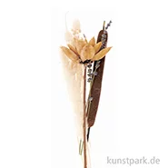 Artikelbild des Artikels “Trockenblumen Set Natur Orange “