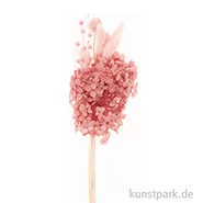 Artikelbild des Artikels “Trockenblumen Set Pastell Pink “