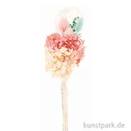Artikelbild des Artikels “Trockenblumen Set Pastell Türkis “