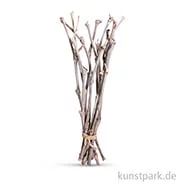 Artikelbild des Artikels “Weinreben 40 cm, 12 Stück “