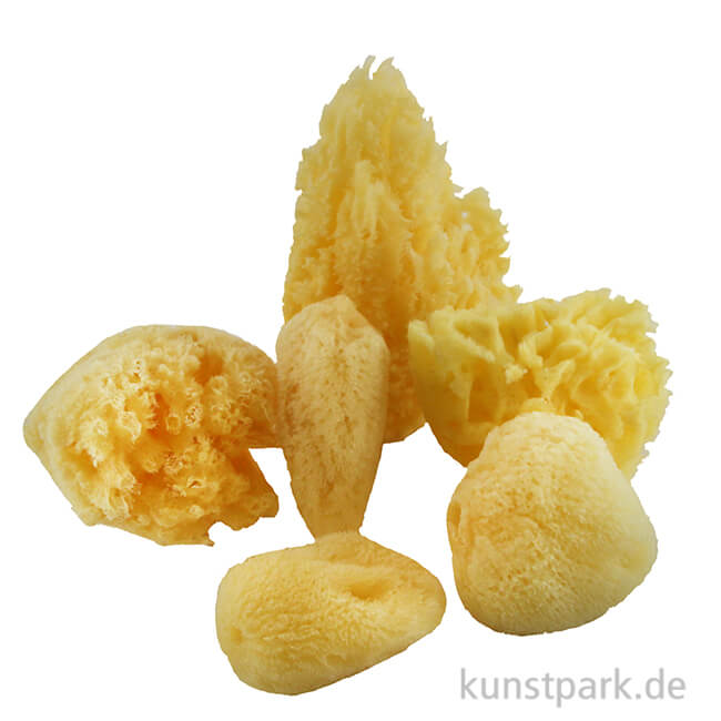 Artikelbild 1 des Artikels “Aquarellschwamm Set 1 - verschiedene Formen und Größen “