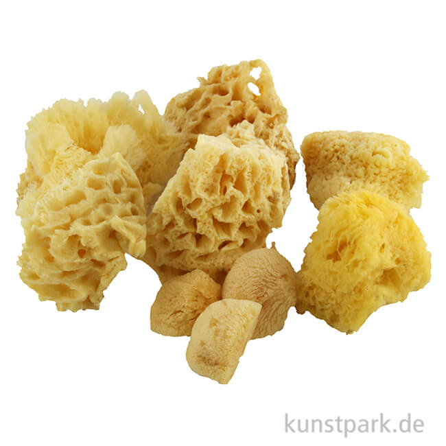 Artikelbild 1 des Artikels “Aquarellschwamm Set 2 - verschiedene Formen und Größen “
