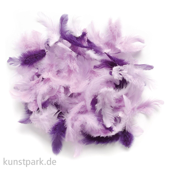 Artikelbild 1 des Artikels “Deco-Federn - Lila, 10g sortiert “