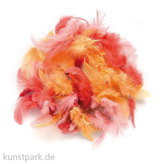 Artikelbild 1 des Artikels “Deco-Federn - Rot, 10g sortiert “