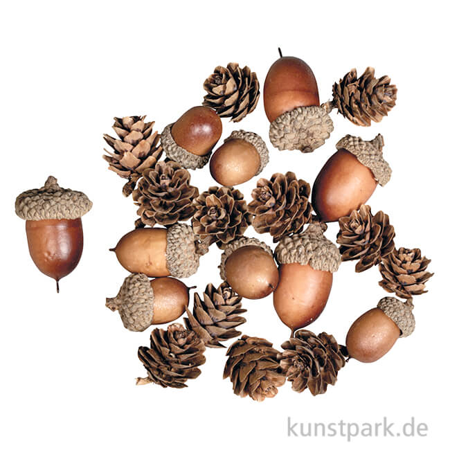 Artikelbild 1 des Artikels “Eichel-Zapfen Mix, sortiert, 2-4 cm, 27 Stück “