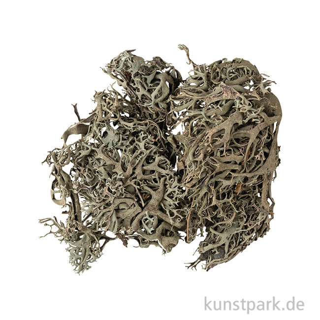 Artikelbild 1 des Artikels “Flechten Moos, Grün, 20g “