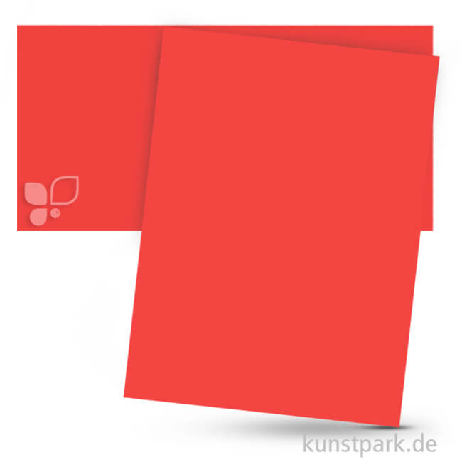 Artikelbild 1 des Artikels “Fotokarton 50x70 cm, 10 Bogen, 300g Farbe | Hibiscus“