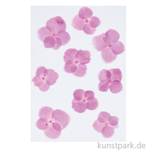 Artikelbild 1 des Artikels “Gepresste Blüten - Hortensie Pink, 9 Stück “