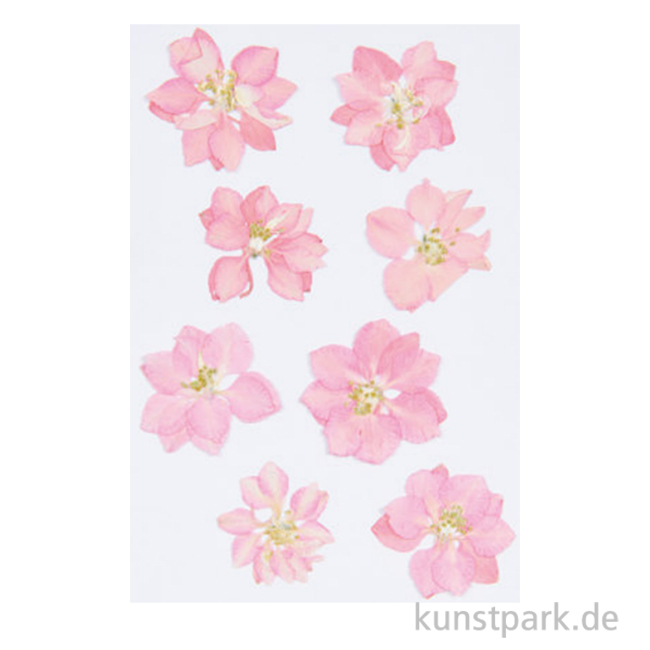Artikelbild 1 des Artikels “Gepresste Blüten - Rittersporn Rosa, 8 Stück “