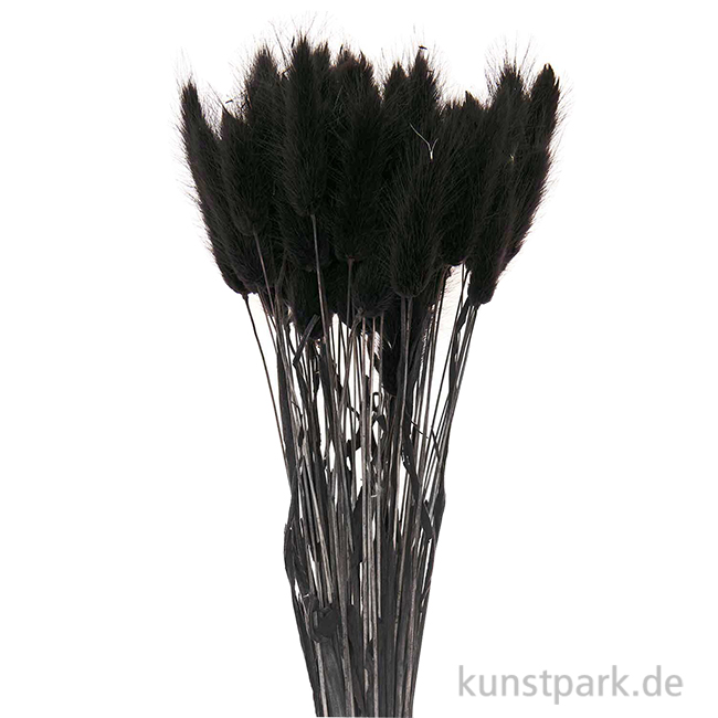 Artikelbild 1 des Artikels “Getrockneter Lagurus, 50 Stück Bund | Schwarz“