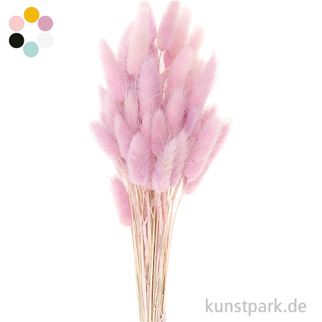 Artikelbild 1 des Artikels “Getrockneter Lagurus, 50 Stück “