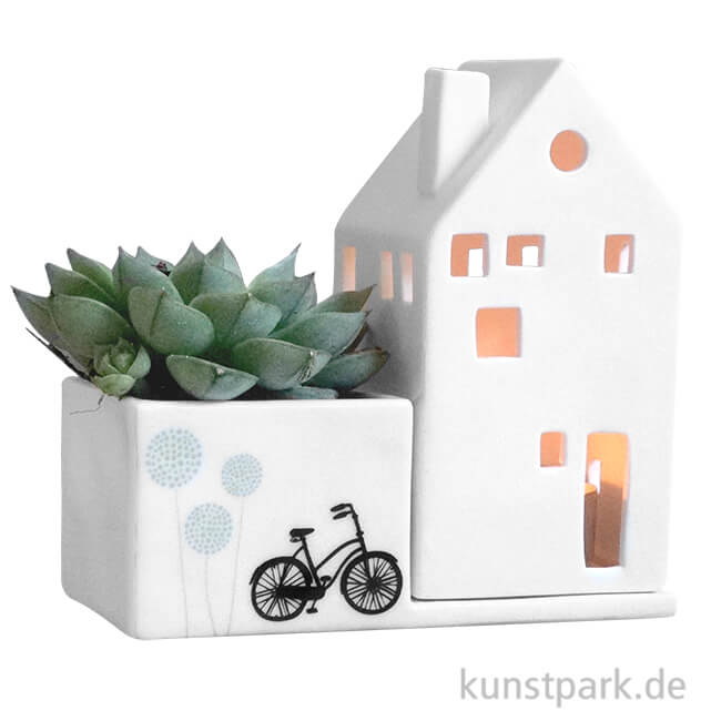 Artikelbild 1 des Artikels “Good old friends - Hausgarten, Fahrrad “