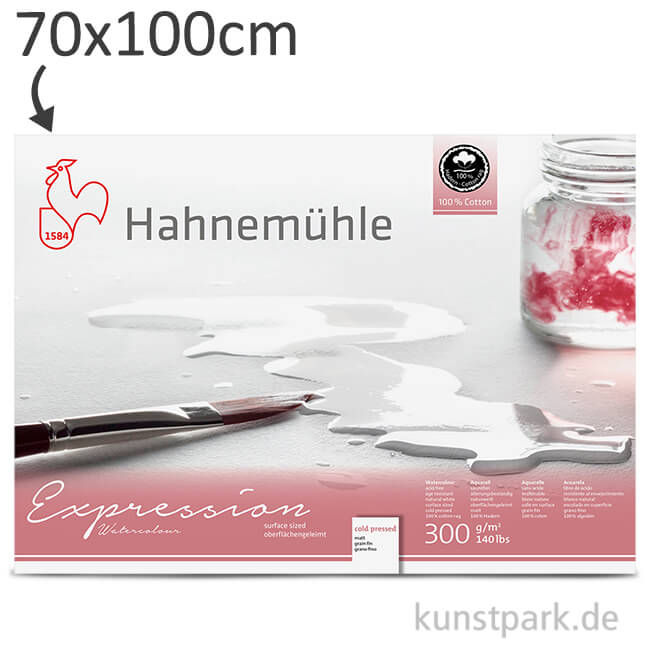 Artikelbild 1 des Artikels “Hahnemühle EXPRESSION Aquarellpapier, 10 Einzelblatt, 300g - matt 70 x 100 cm“