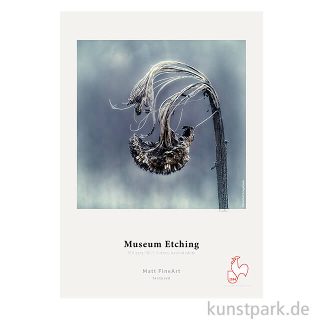 Artikelbild 1 des Artikels “Hahnemühle Museum Etching, 25 Blatt, 350 g/m² “