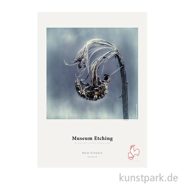 Artikelbild 1 des Artikels “Hahnemühle Museum Etching, 25 Blatt, 350 g/m² DIN A2“