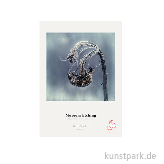 Artikelbild 1 des Artikels “Hahnemühle Museum Etching, 25 Blatt, 350 g/m² DIN A3“