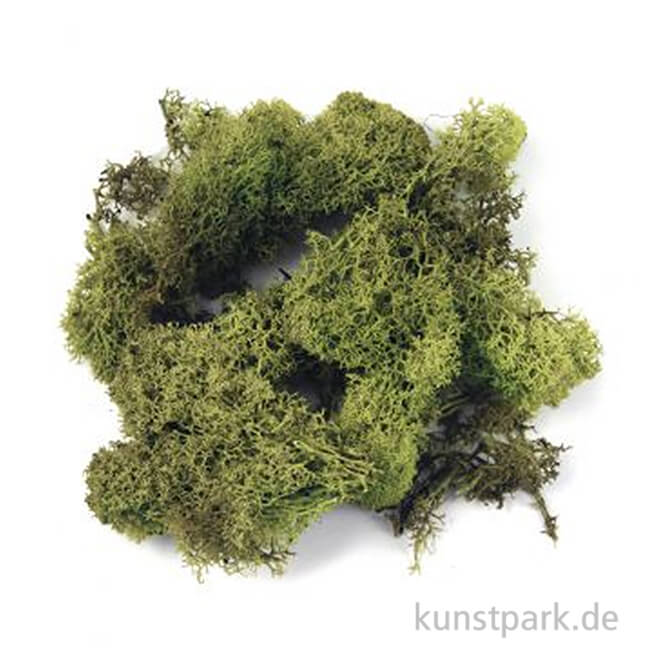 Artikelbild 1 des Artikels “Islandmoos - Hellgrün, 30 g “