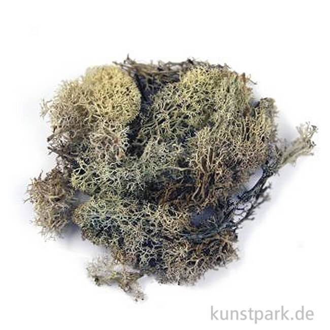 Artikelbild 1 des Artikels “Islandmoos - Natur, 30 g “