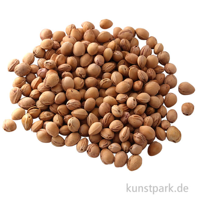 Artikelbild 1 des Artikels “Kirschkerne - gewaschen, 500 g “