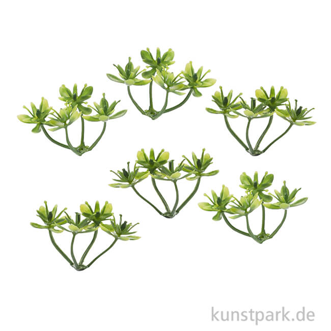 Artikelbild 1 des Artikels “Mini Buchs, 3 cm, 6 Stück “