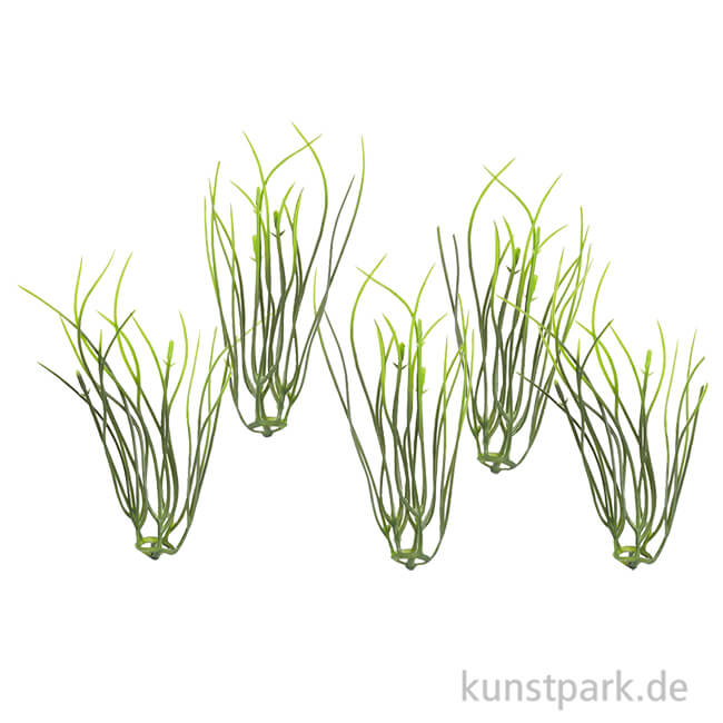 Artikelbild 1 des Artikels “Mini Gräser, 9 cm, 5 Stück “