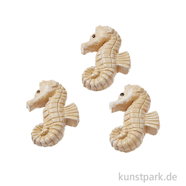 Artikelbild 1 des Artikels “Mini Seepferdchen - Natur, 2,5 cm, 3 Stück “