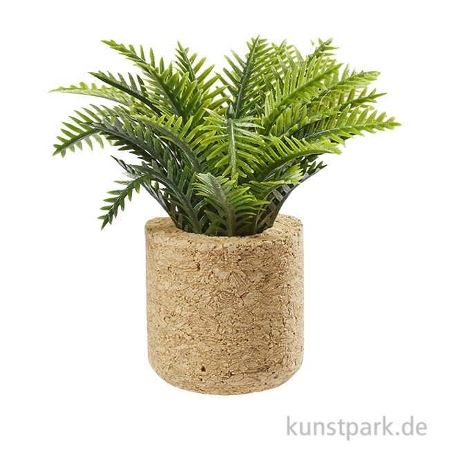 Artikelbild 1 des Artikels “Miniatur Palmenpflanze, 6,5 cm “