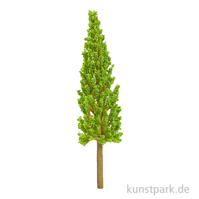 Artikelbild 1 des Artikels “Miniatur Zypresse, ca. 14 cm “