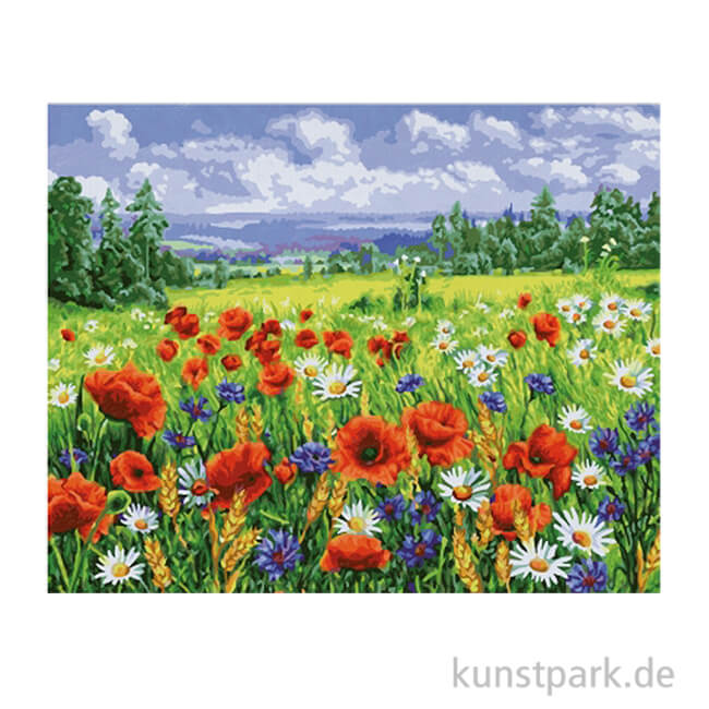 Artikelbild 1 des Artikels “Schipper Malen nach Zahlen, Blumenwiese “