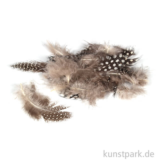 Artikelbild 1 des Artikels “Perlhuhnfedern - natur, 100 Stück “