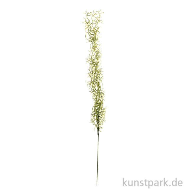 Artikelbild 1 des Artikels “Seegras-Ranke, 75 cm “