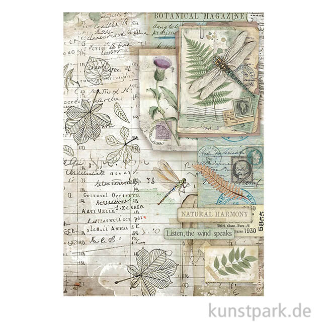 Artikelbild 1 des Artikels “Stamperia Reispapier - Herbarium Silvae Botanic, DIN A4 “