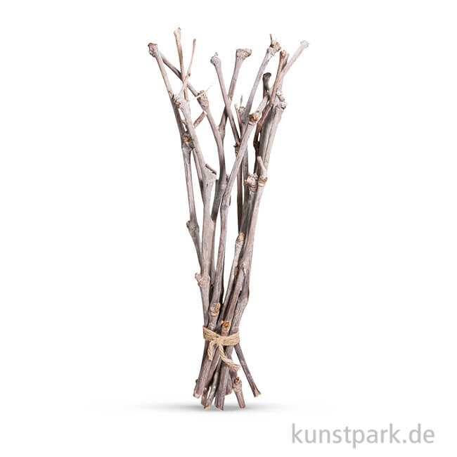 Artikelbild 1 des Artikels “Weinreben 40 cm, 12 Stück “