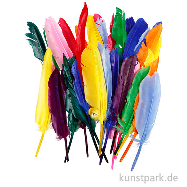 Artikelbild 1 des Artikels “XXL Set - Federn, 17 - 20 cm, 250 sortiert “