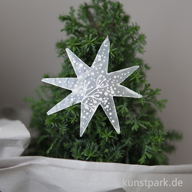 Artikelbild 2 des Artikels “Good old friends - Capizstern, Silber, Schnee, Zweig “