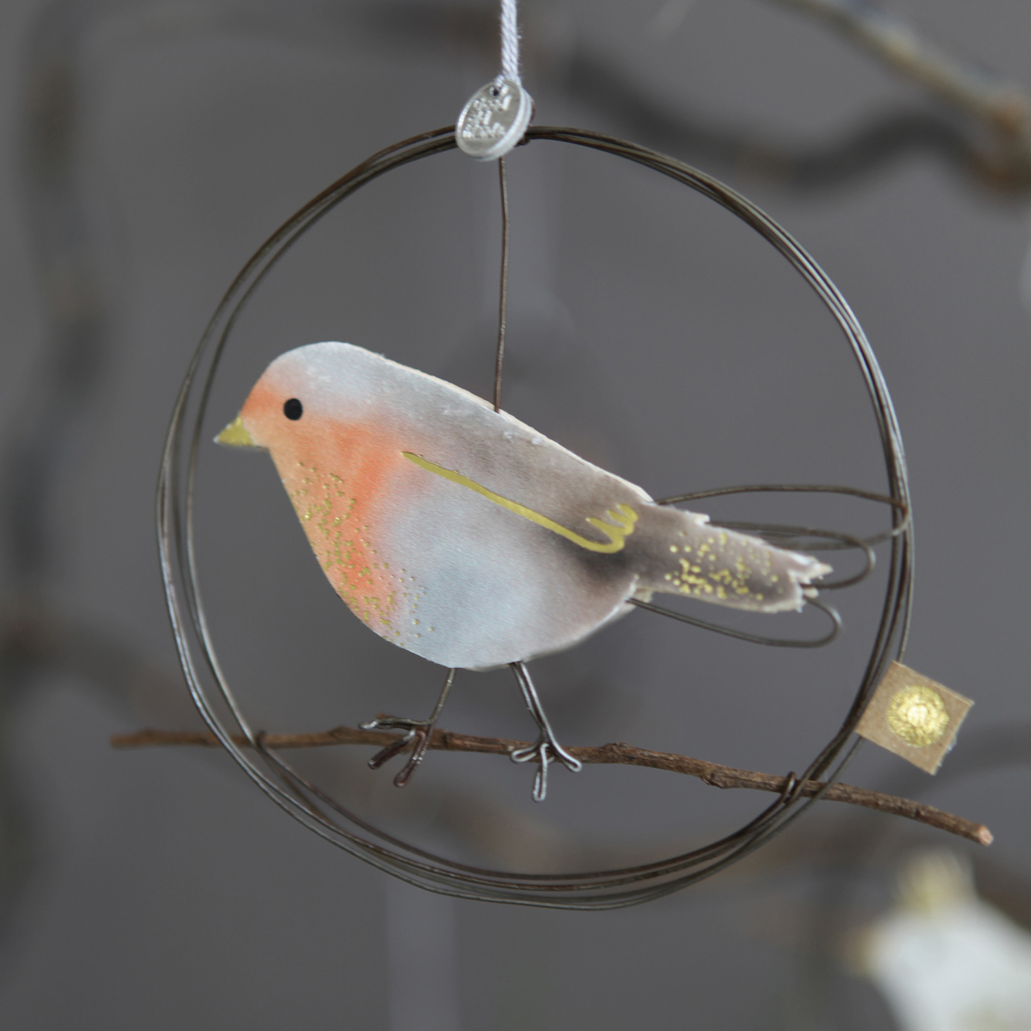 Artikelbild 2 des Artikels “Good old friends - Frühlingsvogel, Rotkehlchen “