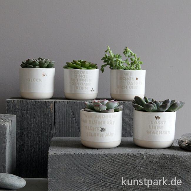 Artikelbild 2 des Artikels “Good old friends - Mini Blumentopf, Große Dinge beginnen oft klein “