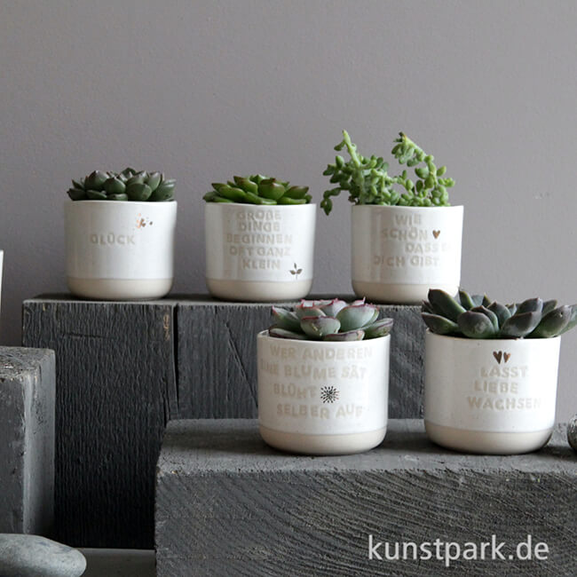 Artikelbild 2 des Artikels “Good old friends - Mini Blumentopf, Lass Liebe wachsen “